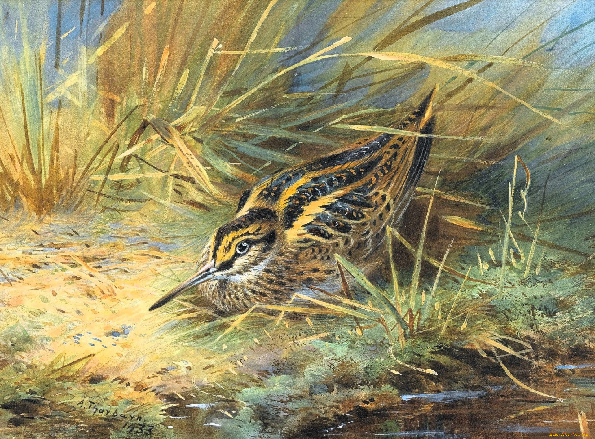 , archibald thorburn, , , , 